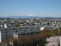 写真：研究室からの風景